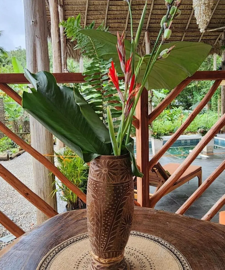 Boho Villas And Spa El Valle Dominican Republic